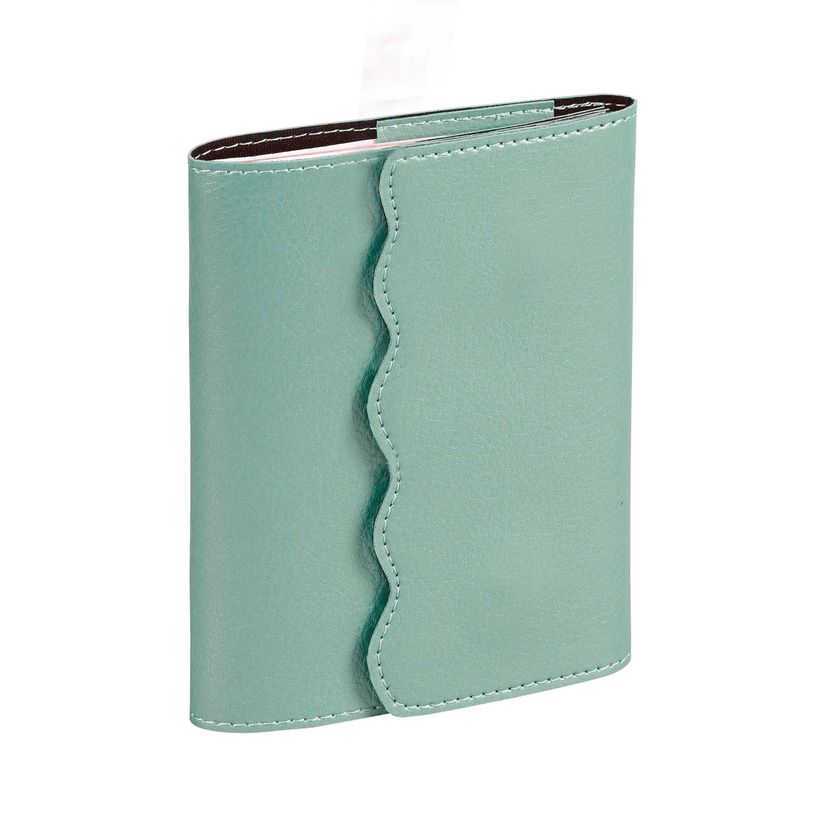 3371010515547-Quo Vadis - Agenda - Affaires - Semainier Planning - Français - Calypso - Vert - 14 mois de décembre à janvier - 10x15 cm - Papier Clairefontaine blanc - Fabri--0