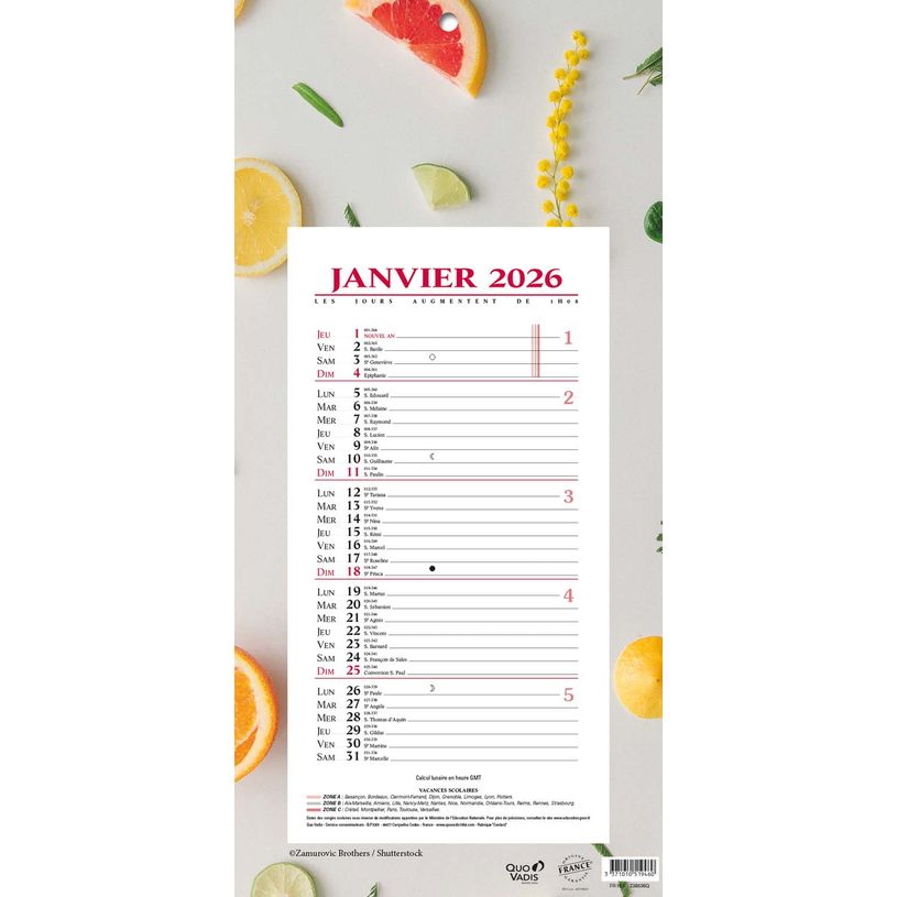 3371010519460-Quo Vadis - Bloc mensuel - 2025 - Français - Fantaisie - Multicolore - 12 mois de janvier à décembre - 16x33,5 cm - Papier Clairefontaine blanc - Fabri--0