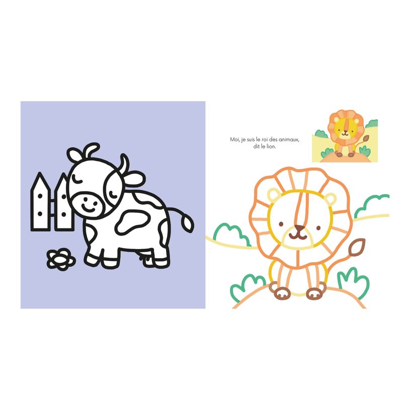 9782017203773-Coloriages à bords pailletés - Adam le toucan - par Solenne & Thomas-P_405188619_3-0