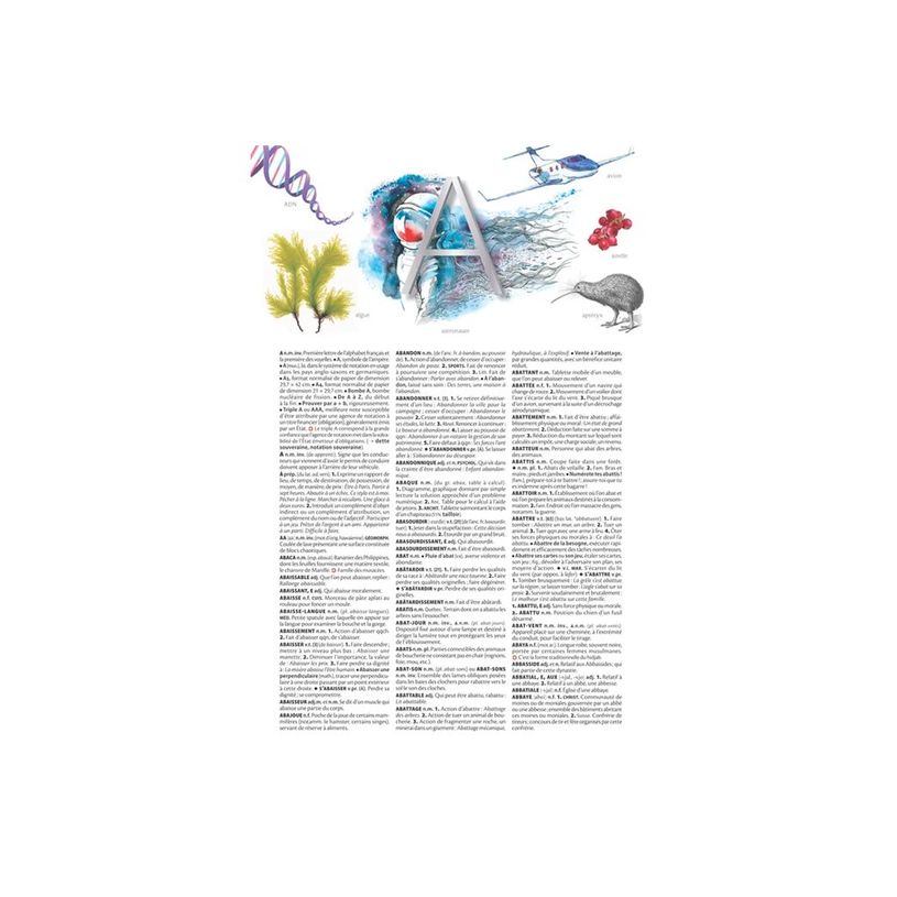 9782036022256-Petit Larousse illustré 2026-P_405188735_5-4