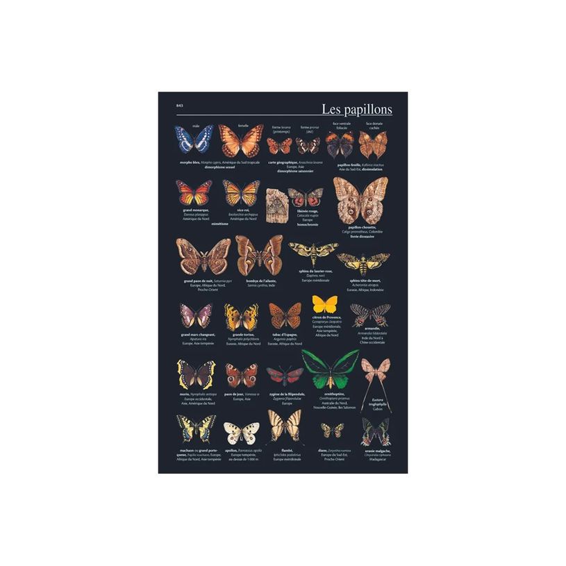 9782036022256-Petit Larousse illustré 2026-P_405188735_9-8