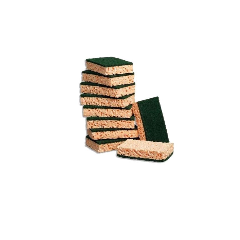 3384120315365-10 Eponges abrasives vertes-P_405188806_2-1