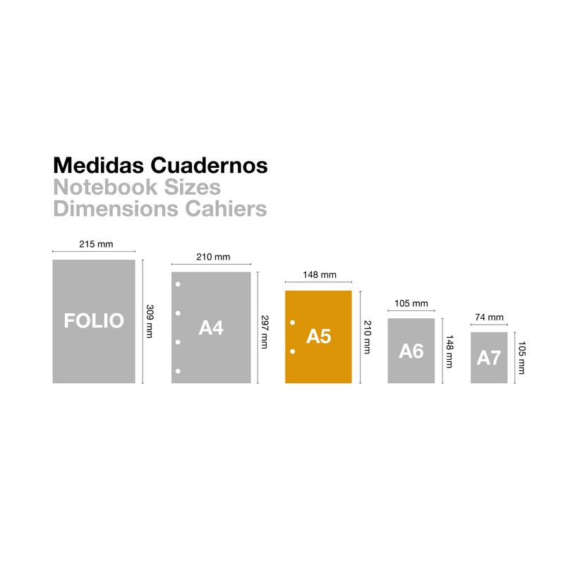 8422593499498-Notebook Emotions, Couverture souple, A5, lignes horizontales 7 mm, 120 feuilles de 5 couleurs, Miquelr--4