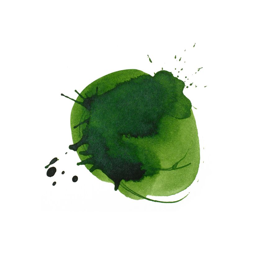 0887452047643-Liquitex Professional - Encre - peinture acrylique - pour média mixte, peinture aquarelle permanent - tran-P_405201465_3-1