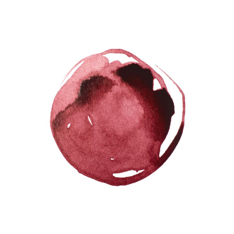 0887452995524-Liquitex Professional - Peinture - peinture acrylique - rose pâle - transparent - satin --P_405201478_1-1