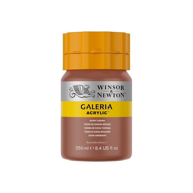 0094376914146-Winsor & Newton Galeria - Peinture - peinture acrylique - Sienne brulée - transparent - 2-P_405202721_2-0