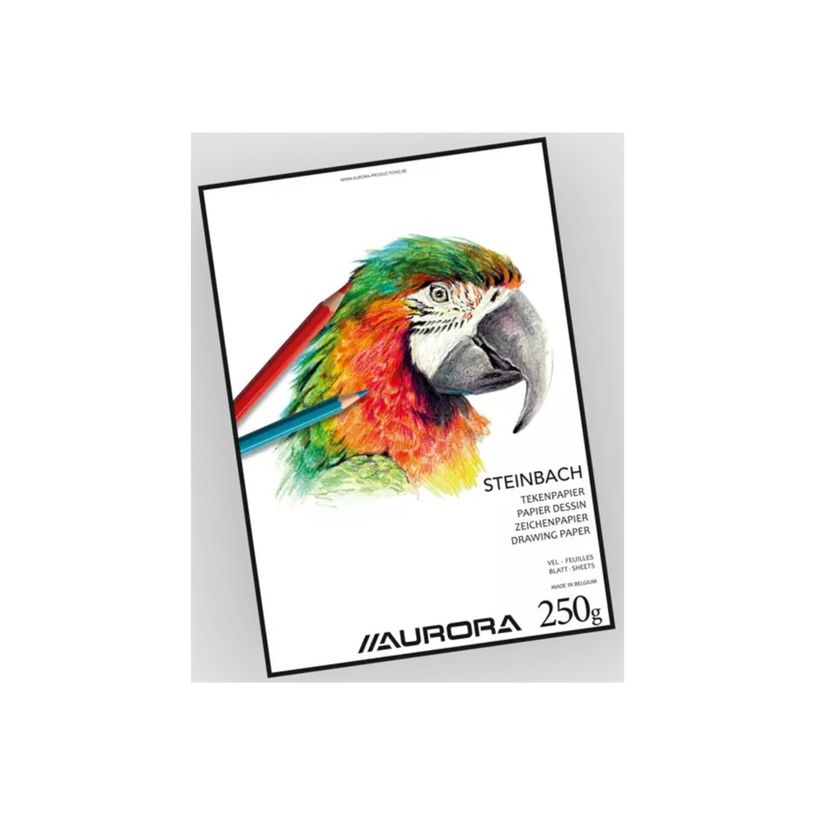 404052165531-Aurora Art & Craft Steinbach - Feuille volante de papier à dessin - 550 x 730 mm - 100 pag-P_405216553_1-0