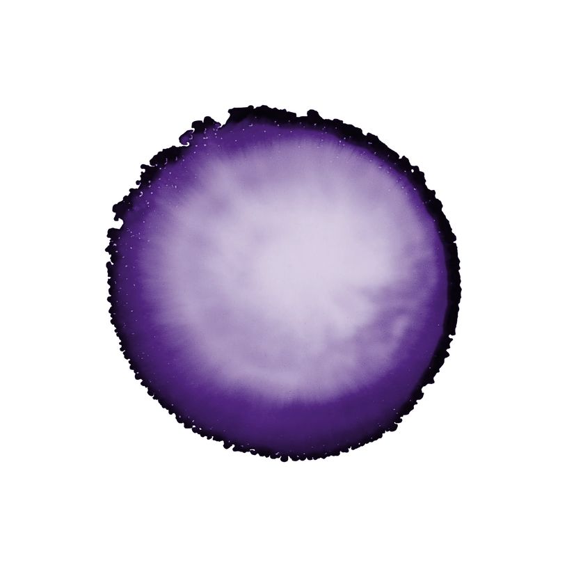 5411711460574-Cernit Auxiliary - Encre - à base d'alcool - bluish violet - transparent - 20 ml-P_405217124_3-2