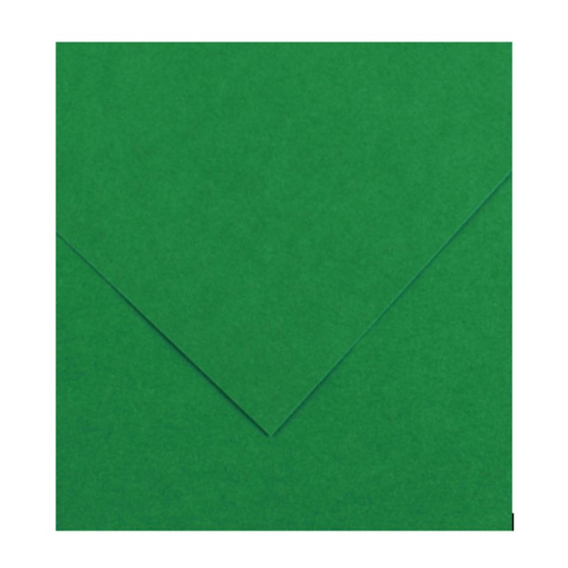 3148950400673-CANSON Iris Vivaldi - Papier Dessin Couleur - Lisse - 120 g/m² - Feuille - 50x65cm - Vert Mousse--0