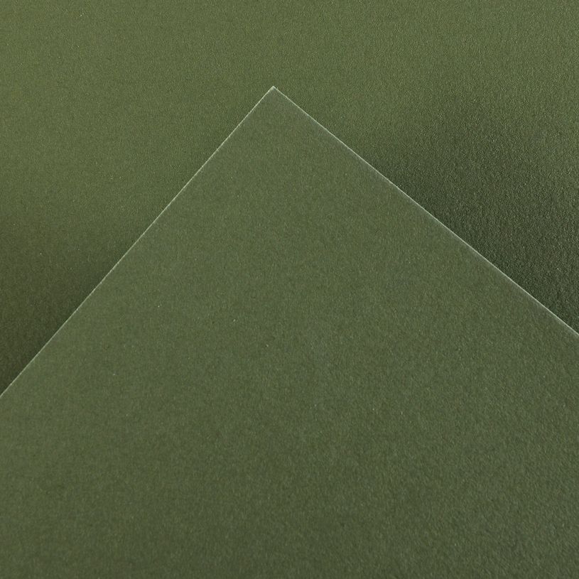 3148950137746-Canson Iris Vivaldi - Papier - 500 x 650 mm - vert kaki - 185 g/m²--0