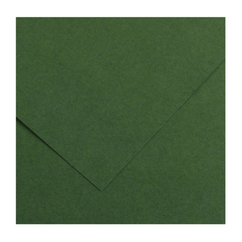 3148950400680-CANSON Iris Vivaldi - Papier Dessin Couleur - Lisse - 120 g/m² - Feuille - 50x65cm - Vert Sapin--0