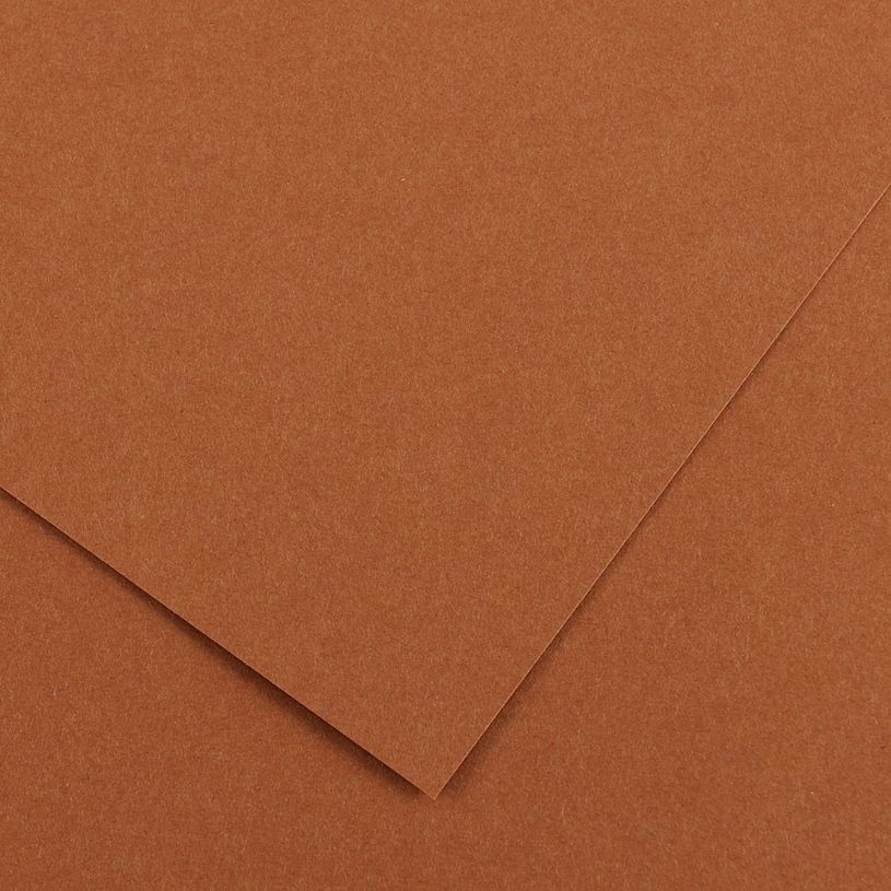 3148950403865-Canson Feuille Iris Vivaldi 50 x 65 cm 240 g/m² Noisette 33--0