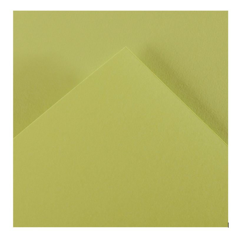 3148950137814-CANSON Iris Vivaldi - Papier Dessin Couleur - Lisse - 240 g/m² - Feuille - 50x65cm - Vert Lime--0