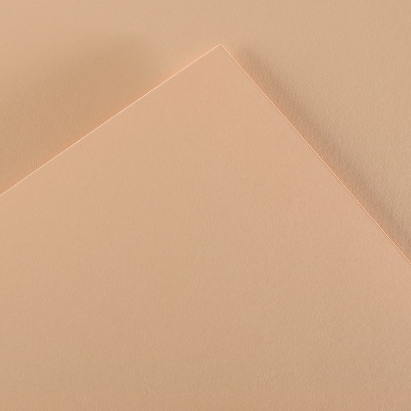 3148950137678-Canson Iris Vivaldi - Papier - 500 x 650 mm - peau - 185 g/m²--0