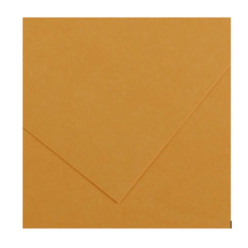 3148950408099-CANSON Iris Vivaldi - Papier Dessin Couleur - Lisse - 240 g/m² - Feuille - A4-21x29,7cm - Cuir--0