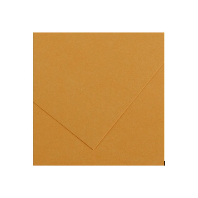 3148950403858-CANSON Iris Vivaldi - Papier Dessin Couleur - Lisse - 240 g/m² - Feuille - 50x65cm - Cuir-P_405218752_1-1