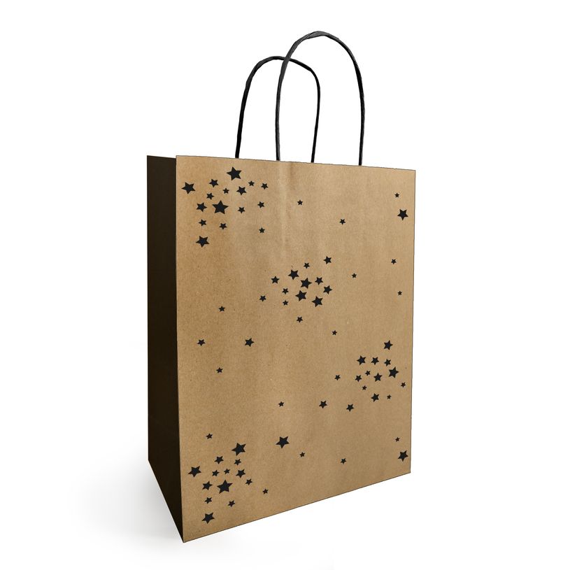 3281650603804-Sac kraft poignées torsadées Starry - 23 x 12 x 30 cm-P_405221663_1-0