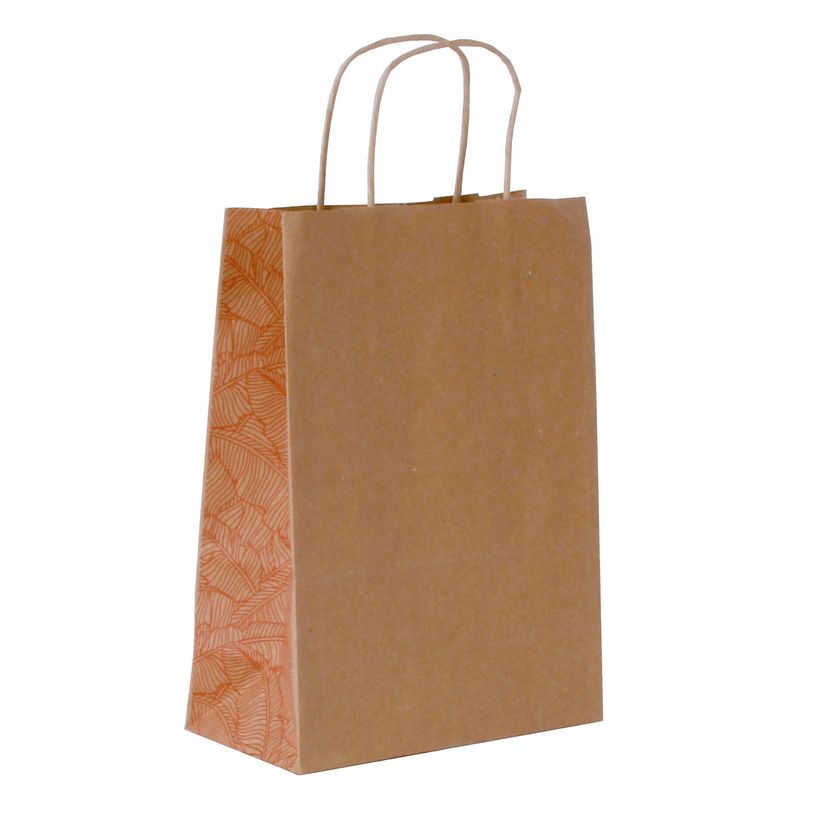 3700030058572-Sac kraft poignées torsadées Jungle terracotta -  18 x 8 x 24 cm-P_405221669_1-0
