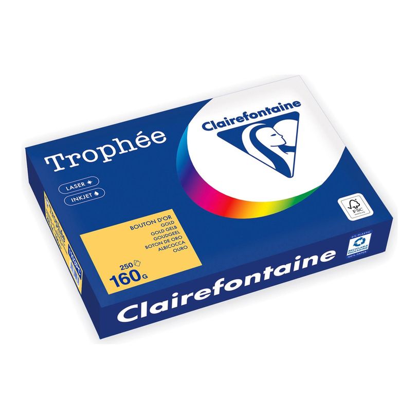 3329680002652-Clairefontaine Trophée - Papier - or - A4 (210 x 297 mm) - 160 g/m² - Ramette de 250 feu-P_405221803_1-0