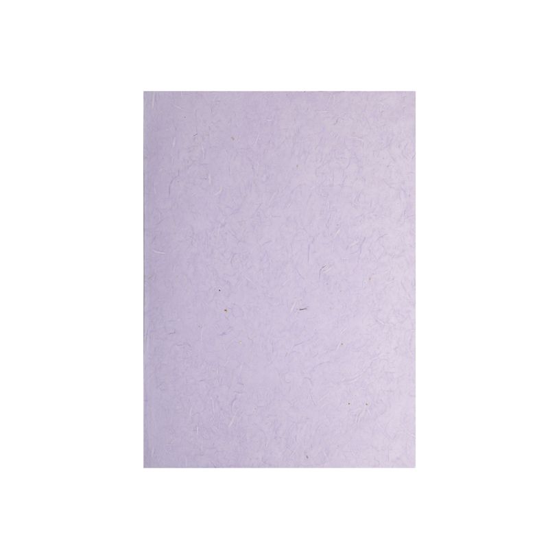 3329680981865-Clairefontaine - Papier - 650 x 950 mm - 10 feuilles - mauve - 25 g/m² - mulberry paper-P_405222627_1-0