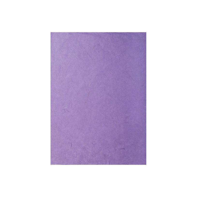 3329680981063-Clairefontaine - Papier - 650 x 950 mm - 10 feuilles - violet - 25 g/m² - mulberry paper-P_405222634_1-0