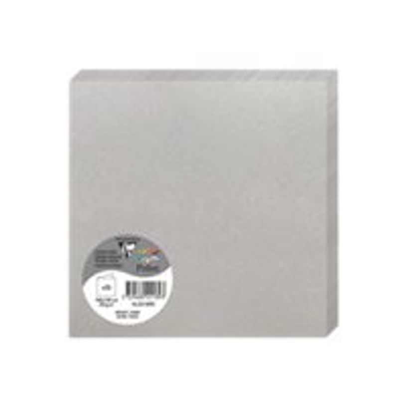 3329680221893-Clairefontaine Pollen - Papier - argent - 160 x 160 mm - 210 g/m² - 25 carte(s) cartes pl-P_405224461_1-1