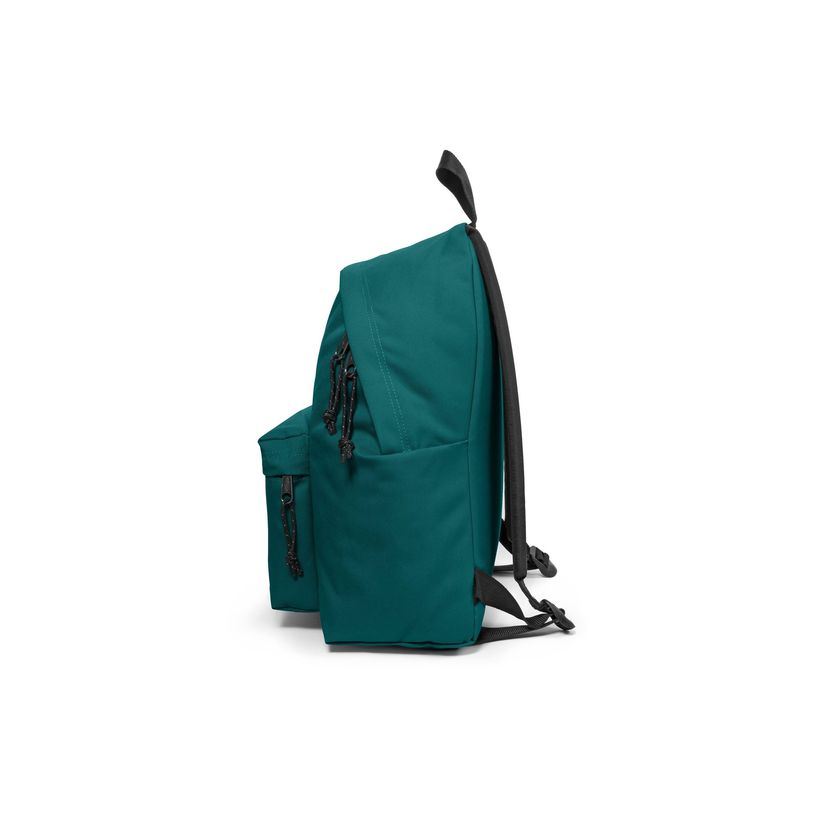 194116948810-EASTPAK Padded Pak'r - Sac à dos - 40 cm - EK6207J1 - vert-P_405224965_2-3