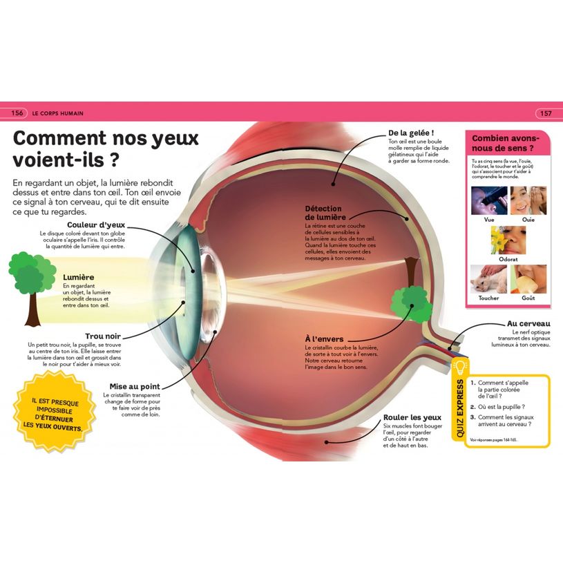 9782095041458-Livre La grande encyclopédie illustrée dès 7 ans-P_405225247_3-2
