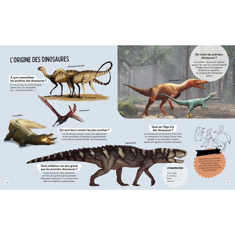 9782095034948-Livre Questions Réponses Tous les dinosaures-P_405225249_2-1