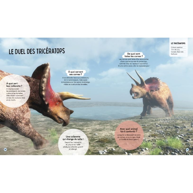 9782095034948-Livre Questions Réponses Tous les dinosaures-P_405225249_4-3