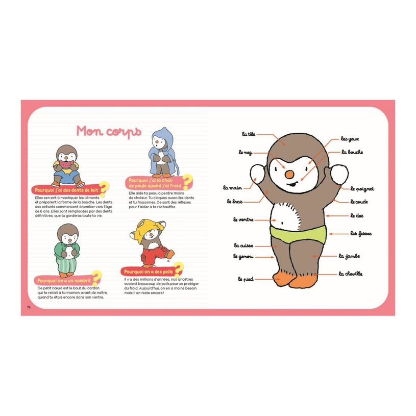 9782095029418-T'choupi : mon grand livre des pourquoi ? - par Courtin Thierry-P_405225259_3-2