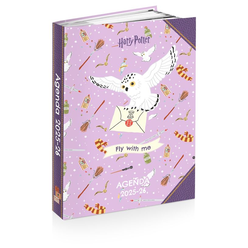 3661507555188-Agenda HARRY POTTER HEDWIG 12 x 17 cm - 2 modèles au choix - Kid'Abord-P_405226075_1-0