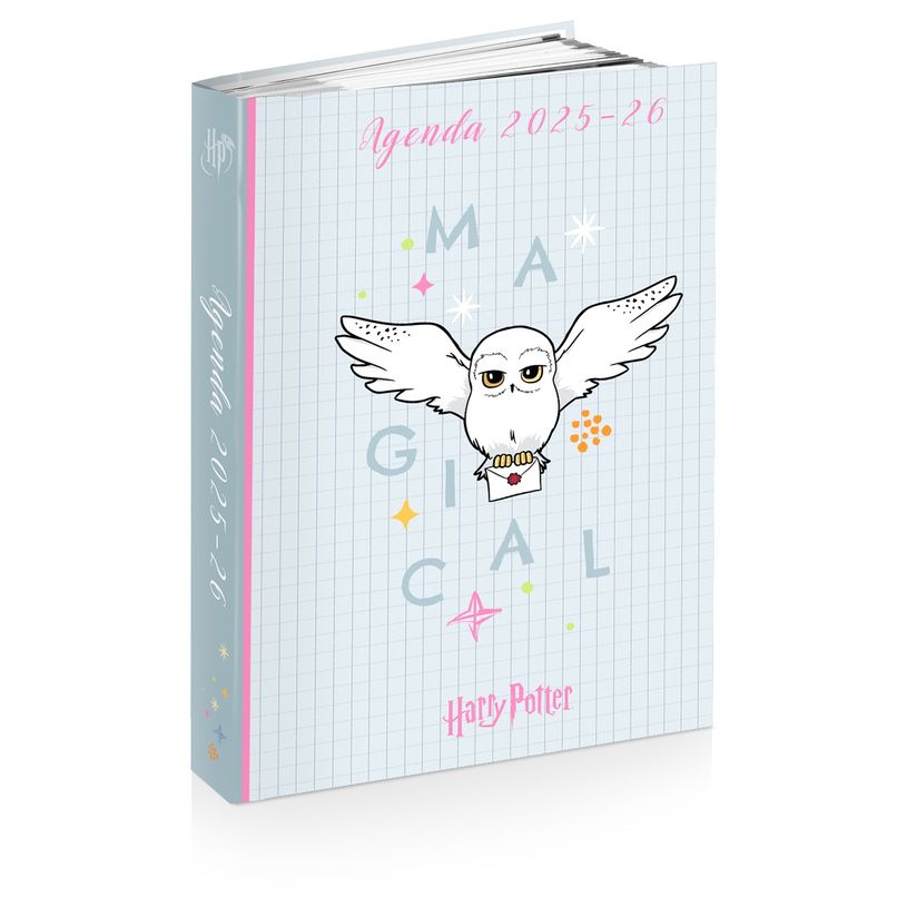 3661507555188-Agenda HARRY POTTER HEDWIG 12 x 17 cm - 2 modèles au choix - Kid'Abord-P_405226075_2-1
