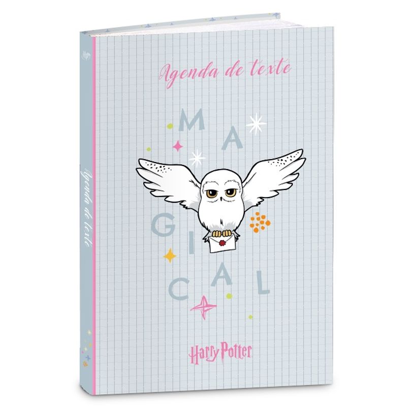 3661507556185-Cahier de texte HARRY POTTER HEDWIG- 15x21 cm- 2 modèles au choix- Kid'Abord-P_405226076_2-1