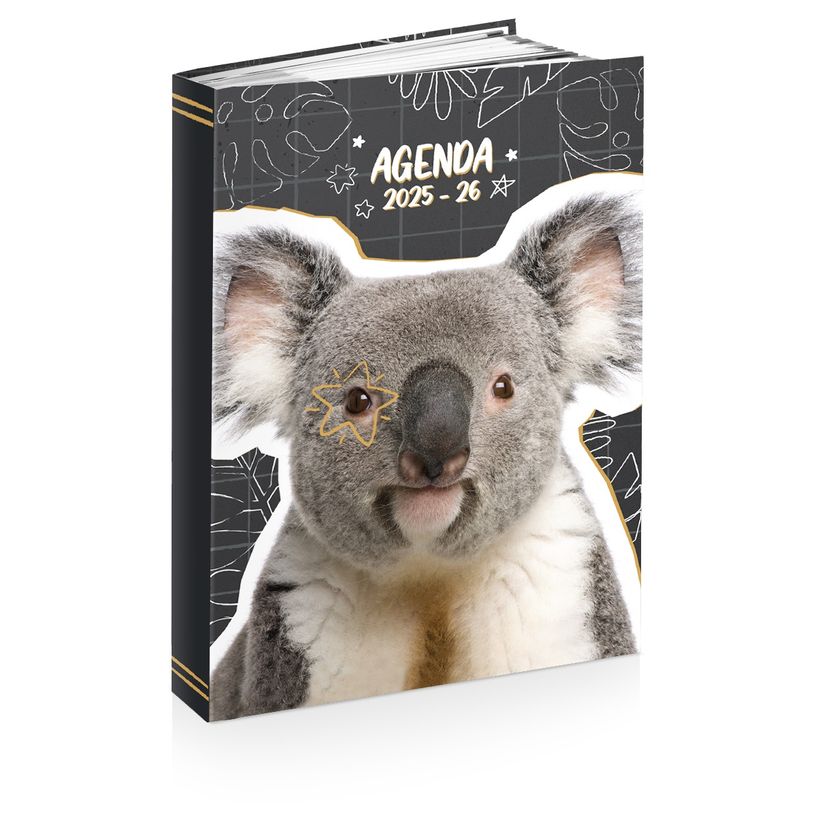 3661507015286-Agenda ANIMAUX FUNNY- 12 x 17 cm - 2 modèles au choix - Kid'Abord-P_405226134_1-0