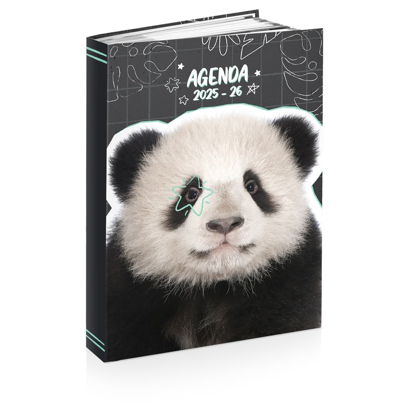 3661507015286-Agenda ANIMAUX FUNNY- 12 x 17 cm - 2 modèles au choix - Kid'Abord-P_405226134_2-1