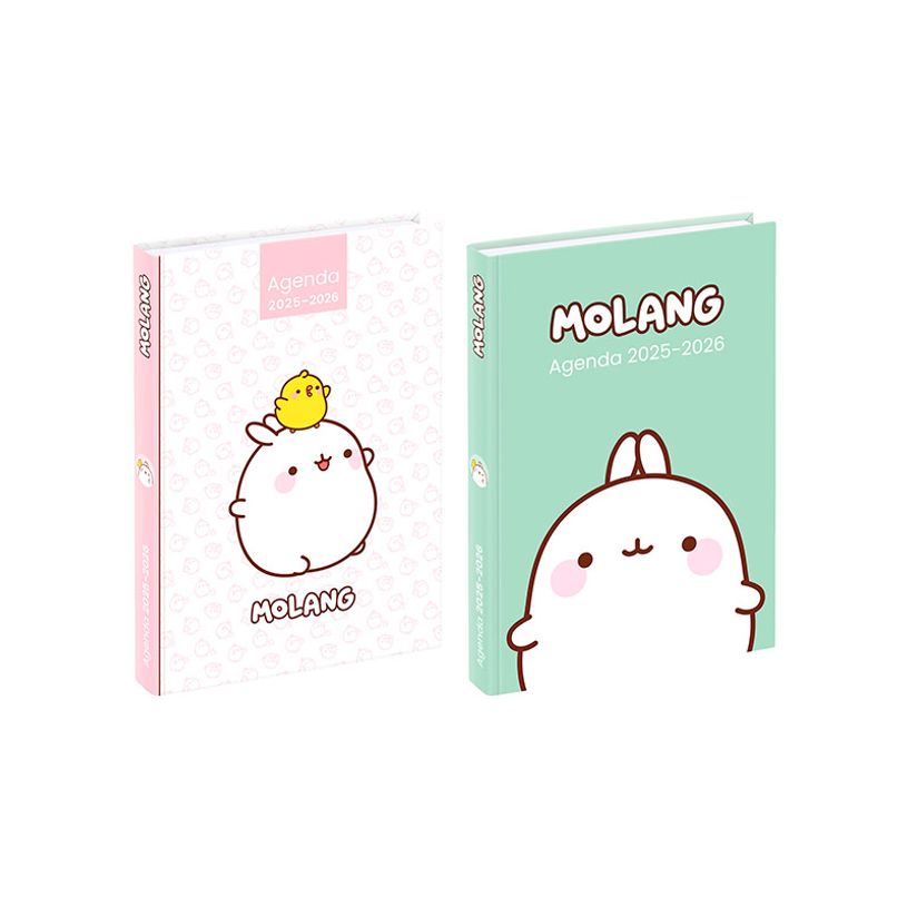 3135257454416-Agenda Molang - 1 jour par page - 12 x 17 cm - Viquel-P_405226408_1-0