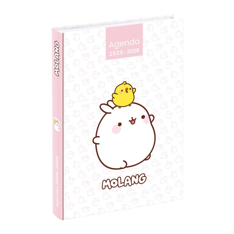 3135257454416-Agenda Molang - 1 jour par page - 12 x 17 cm - Viquel-P_405226408_3-2