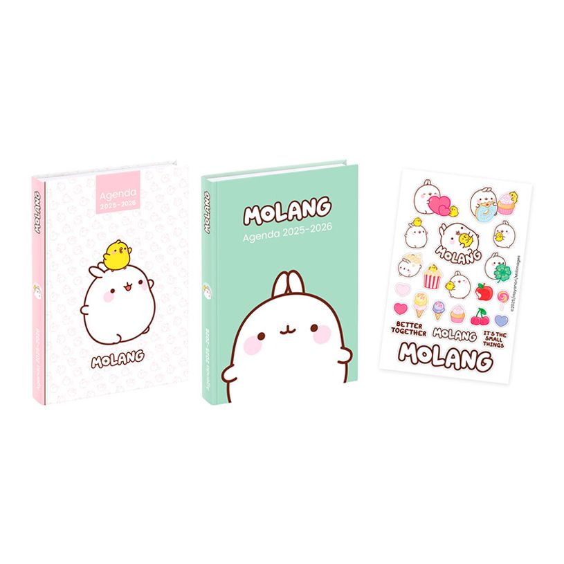 3135257454416-Agenda Molang - 1 jour par page - 12 x 17 cm - Viquel-P_405226408_5-4