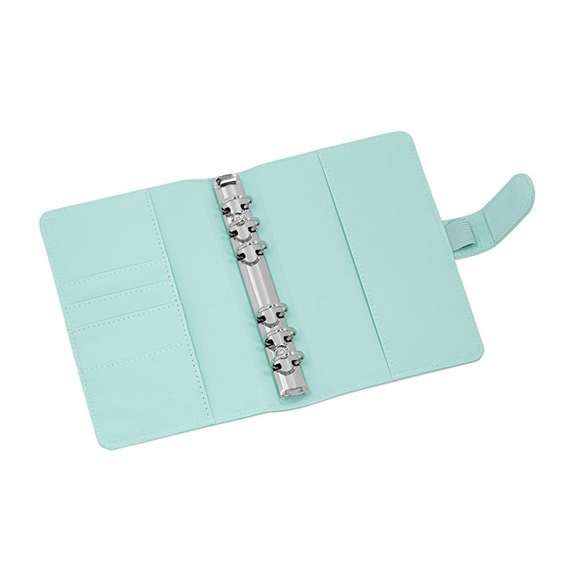 3135250320961-Viquel Budget Planner - Planificateur de budget A5 - assortis - polyuréthane-P_405226417_4-3