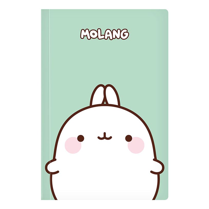 3135252844410-Carnet de notes Molang - 128 pages - A5 - Viquel-P_405226419_2-1
