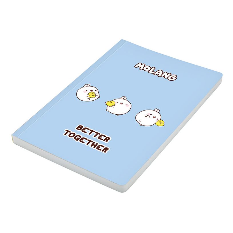 3135252844410-Carnet de notes Molang - 128 pages - A5 - Viquel-P_405226419_6-5