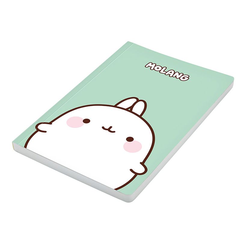 3135252844410-Carnet de notes Molang - 128 pages - A5 - Viquel-P_405226419_8-7
