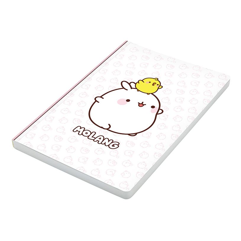 3135252844410-Carnet de notes Molang - 128 pages - A5 - Viquel-P_405226419_9-8