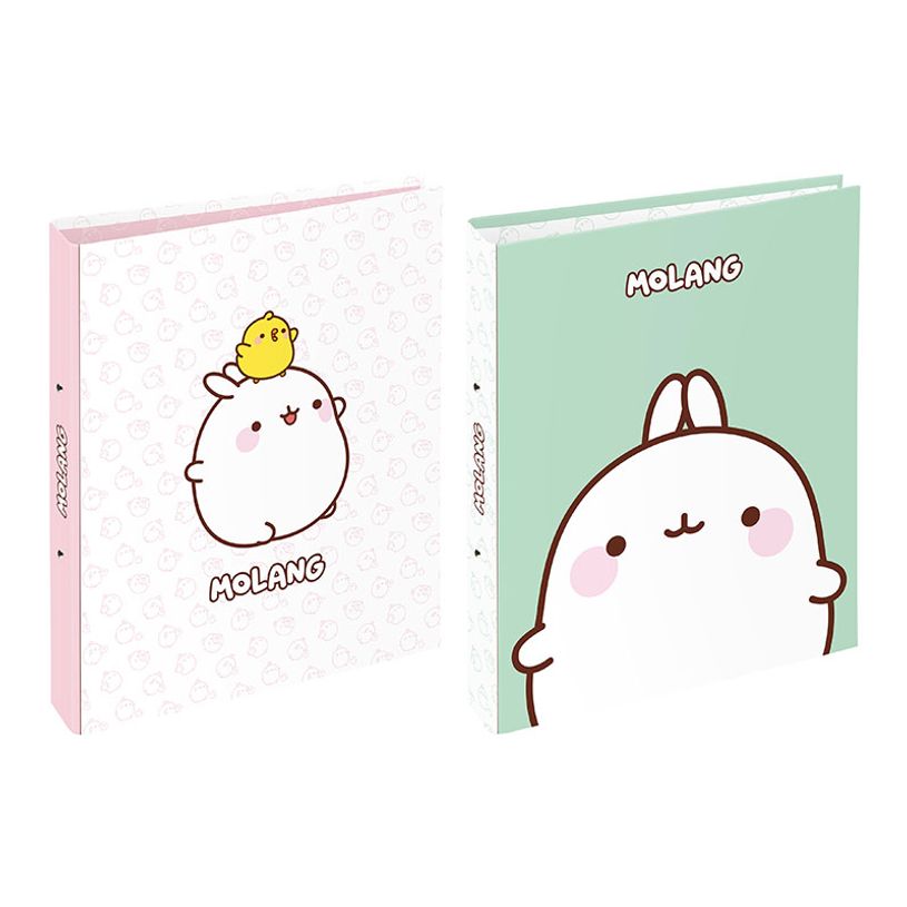 3135258004412-Classeur 2 anneaux - Dos 50 mm - A4 - Molang - Viquel-P_405226422_1-0