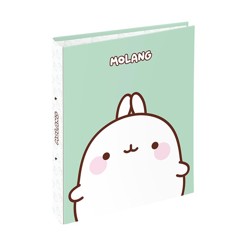 3135258004412-Classeur 2 anneaux - Dos 50 mm - A4 - Molang - Viquel-P_405226422_2-1