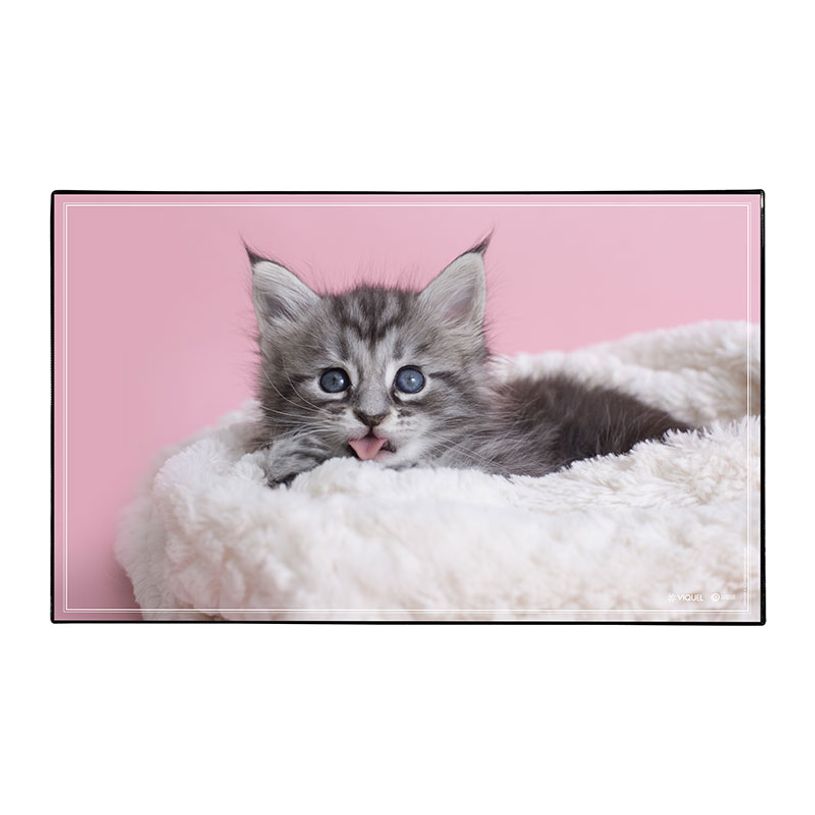 3135251384702-Sous-main Animaux Chaton + Chiot - 59,5 x 36,2 cm - Assortis - Viquel-P_405226459_2-1