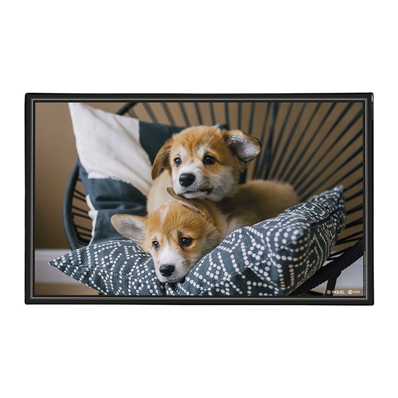 3135250994810-Sous-main Chiots - 59,5 x 36,2 cm - Viquel-P_405226460_1-0