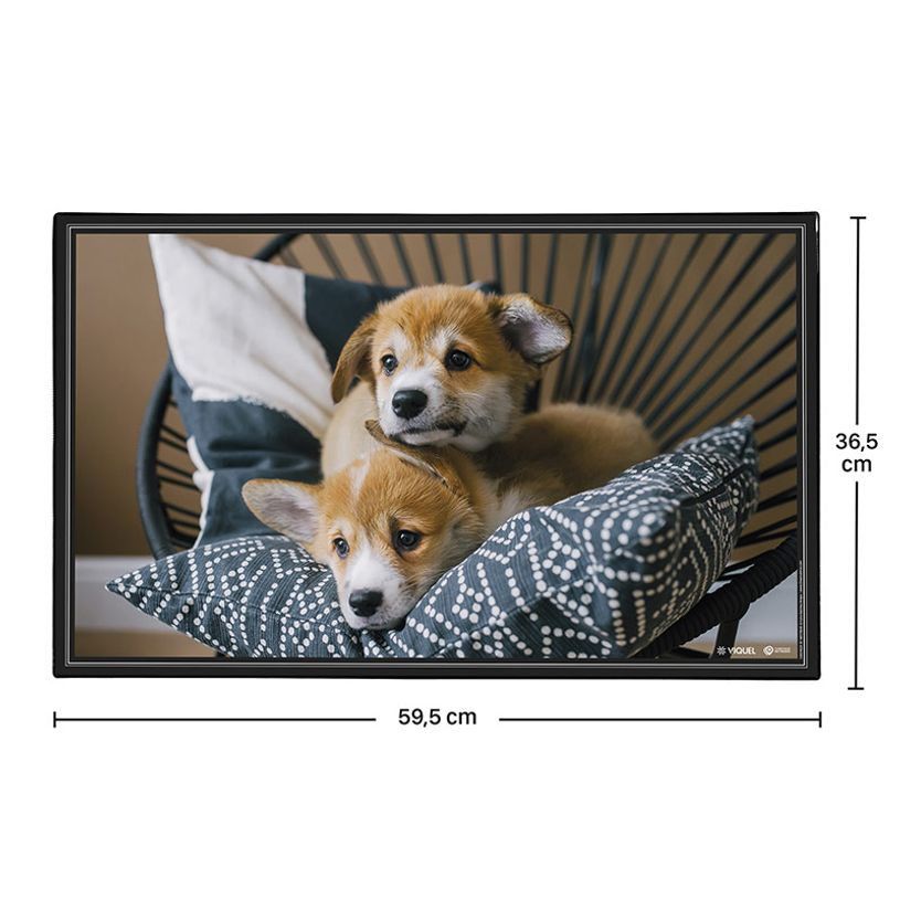 3135250994810-Sous-main Chiots - 59,5 x 36,2 cm - Viquel-P_405226460_2-1