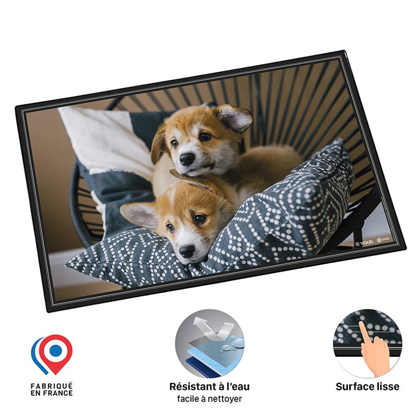 3135250994810-Sous-main Chiots - 59,5 x 36,2 cm - Viquel-P_405226460_3-2